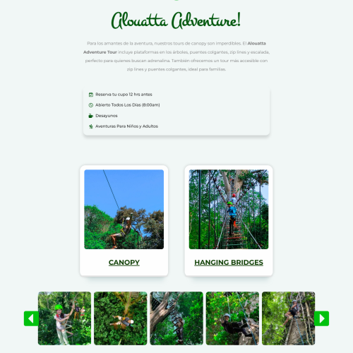 alouattalodgeandcanopy.com_
