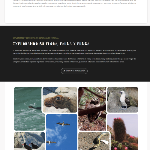 fundacionritoque.cl_ecologia_